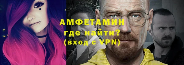 прущие грибы Абаза