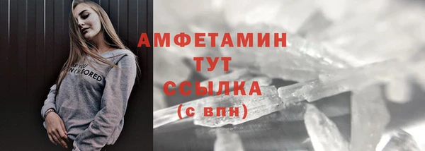 прущие грибы Абаза