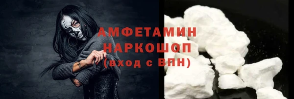 прущие грибы Абаза