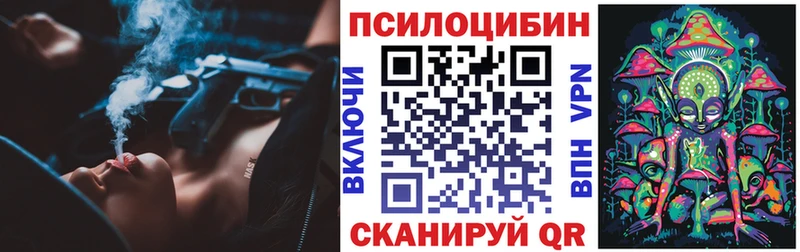 Псилоцибиновые грибы Cubensis  Тамбов 